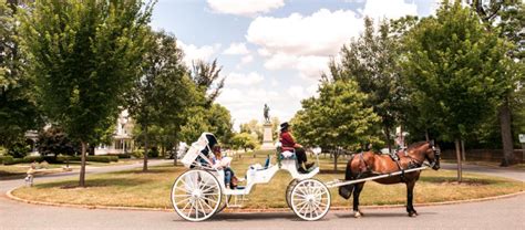 Take A Horse Drawn Carriage Ride For Fun In Fredericksburg Virginia