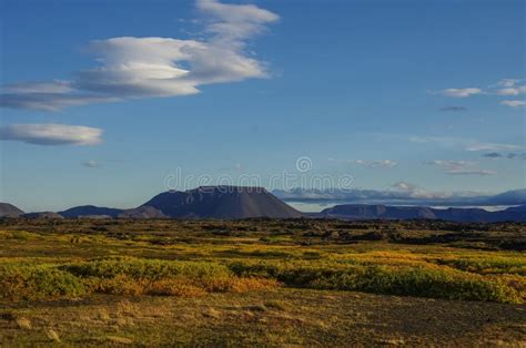 Moss Covered Lava Field And Volcano Mount Near Lake Myvatn Summer