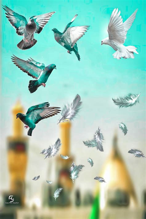 background in flying sk background | Best background images, Love background images, Light ...
