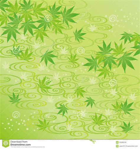 Green Background Of Japanese Maple Leaves Stock Vector Illustration