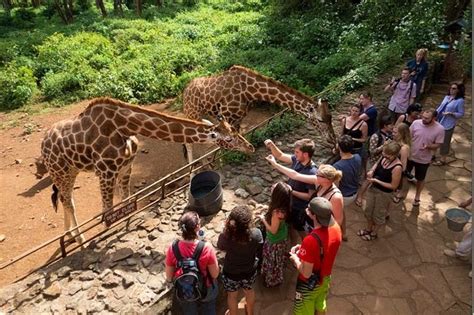 Top 11 Tourist Attractions In Nairobi City Attractions In Nairobi