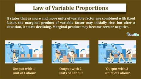Law Of Variable Proportions Tutors Tips