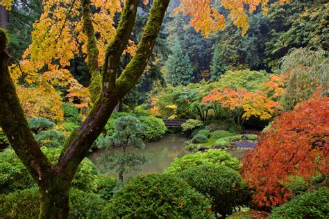 Strolling Pond Garden - Portland Japanese Garden