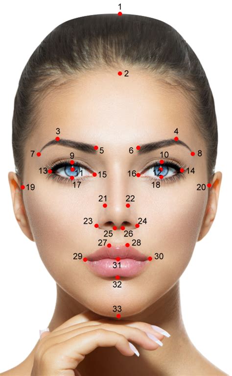 Meisner Beauty Guide For Golden Ratio Facial Analysis