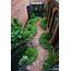 Brick Pathways For A Beautiful Look Of The Garden