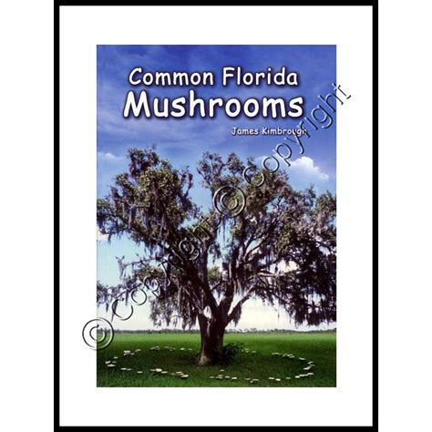 Common Florida Mushrooms Shroom Supply