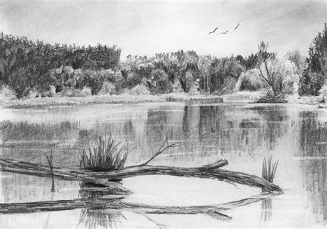 Reflections In The Water Drawing By Nolan Clark Fine Art America