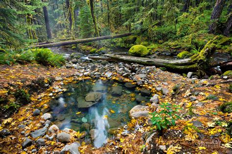 Wall Creek Warm Spring Willamette National Forest Oregon Photography