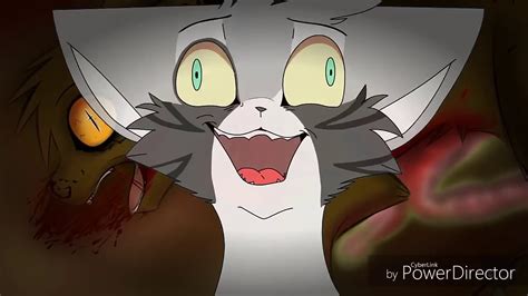 Amv Cats Warriors Dark Forest † Sħiĸi† Youtube