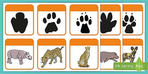 Use This Fantastic African Animal Footprint Matching Game As A Fun And