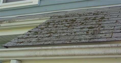 How To Remove Mold From Roof Shingles Roofscour