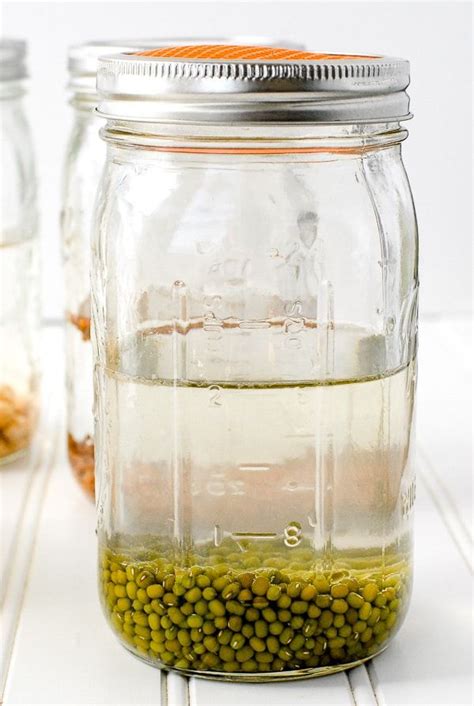 Growing Sprouts And How To Make Homemade Sprouting Jars With Step By