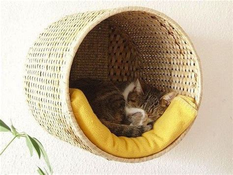 28 Cute And Awesome Cat House Ideas 25 Furniture Inspiration