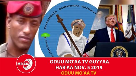Oduu Moaa Tv Guyyaa Haraa November 5 2019 Youtube