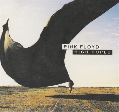 Pink Floyds High Hopes Lyrics Meaning Song Meanings And Facts