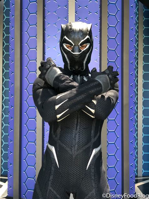 Wakanda Forever Meet The Black Panther In Disney California Adventure