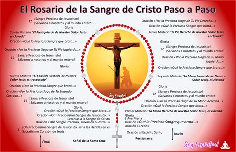 Cómo Rezar El Rosario De La Sangre De Cristo † Paso A Paso