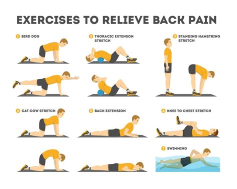 Say Goodbye To Back Pain Achieve Relief With Exercise At Health Wise Chiropractic
