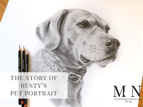 Pencil Pet Portrait Of Rusty Melanie And Nicholas Pet Portraits Art Blog