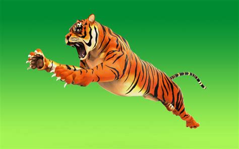 Tiger Jumping Stock Photos Pictures And Royalty Free Images Istock