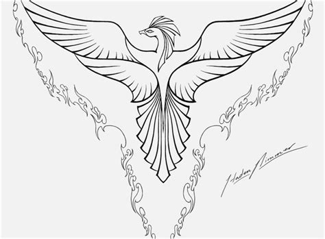 Phoenix Bird Coloring Pages At Free Printable