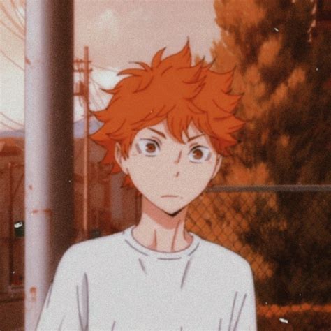 Hinata Shoyo Haikyuu Aesthetic Pfp