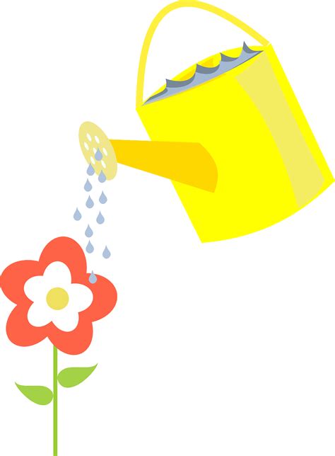 Más De 80 Imágenes Gratis De Pouring Water Y Agua Pixabay