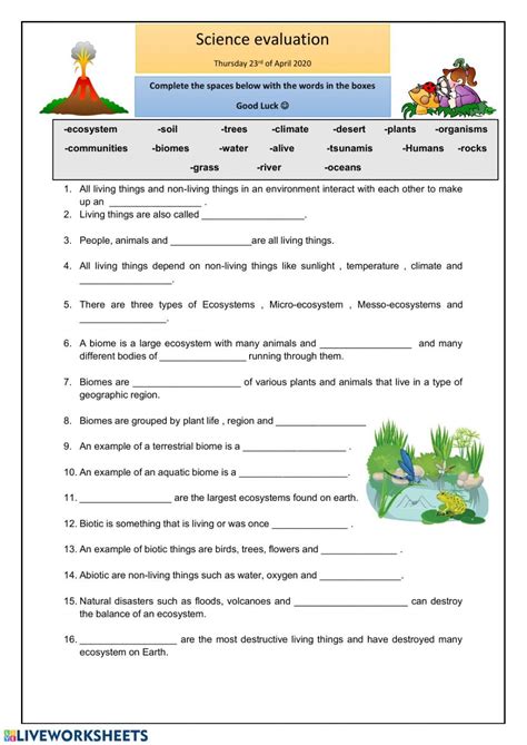 Ecosystems Worksheet 3rd Grade