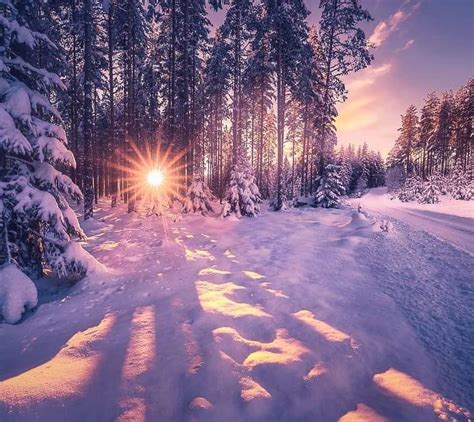 January With Plenty Of Snow Ringerike Norway By Ole Henrik Skjelstad