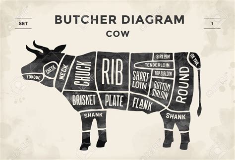 Pork ribs is wat wij als spareribs kennen en short ribs zijn de ribs van koe/kalf. Pin op Diversen vlees