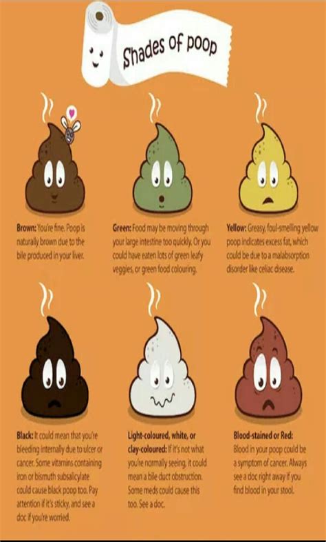 What Does It Mean If Your Poop Is Different Colors Trenton Sherry