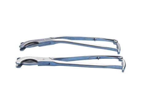 Health Management And Leadership Portal Castration Forceps