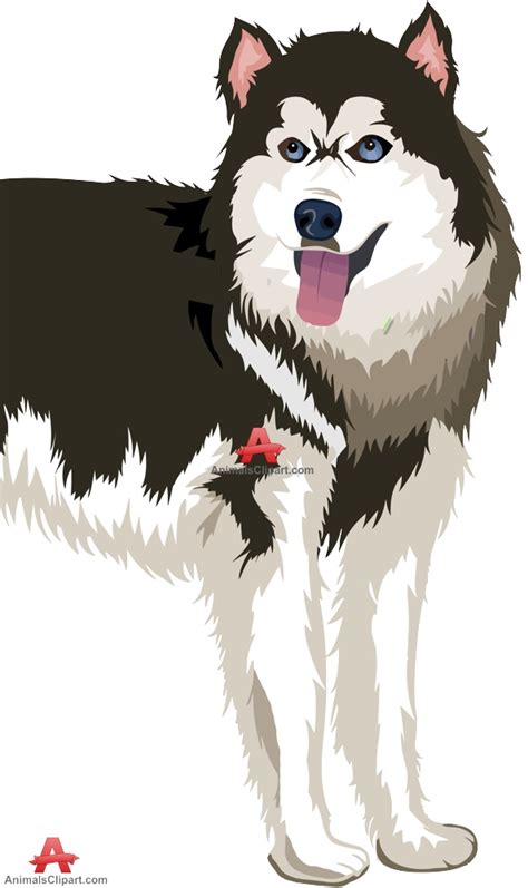 Free Husky Walking Cliparts Download Free Husky Walking Cliparts Png