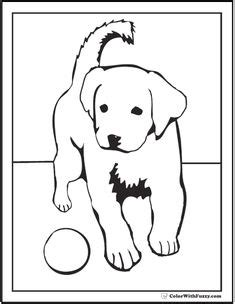 These colors are all controlled by the same gene, with the shade of color determined by the intensity of the inherited gene. Free coloring pages of goldendoodle puppies | color sheets ...