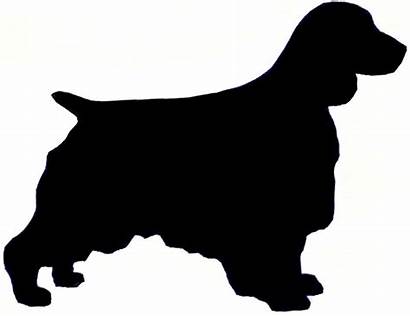 Silhouette Spaniel Terrier Springer Welsh King Charles