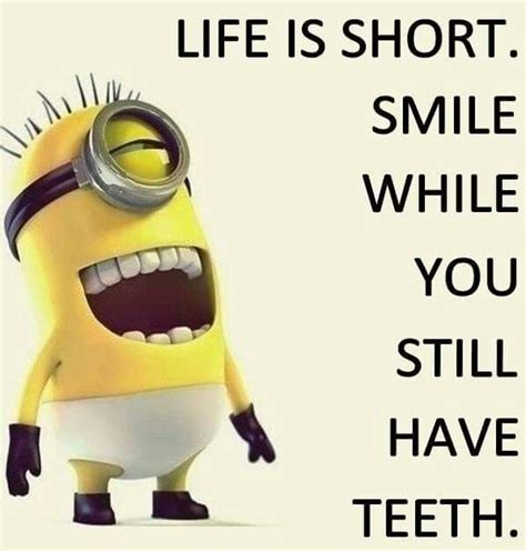 top 40 funniest minions memes quotes and humor