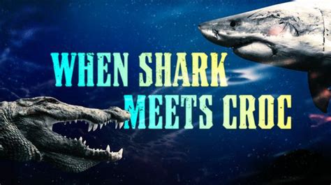 Stream When Shark Meets Croc Magellantv