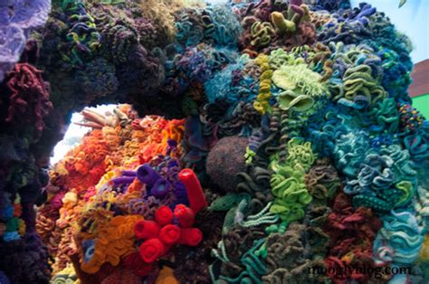 The Hyperbolic Crochet Coral Reef A Must See