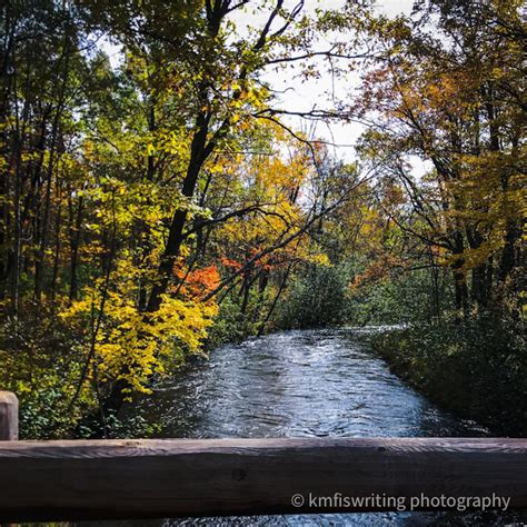 Best Fall Colors Minnesota St Croix State Park Bear Creek