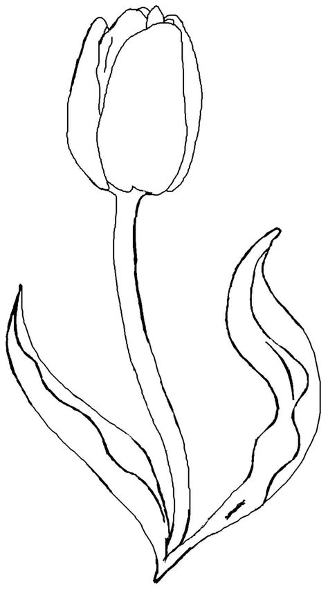 Our house is the place we come home to, are most familiar with and feel the most comfort. Tulip Flower Coloring Pages Free printable tulip coloring ...