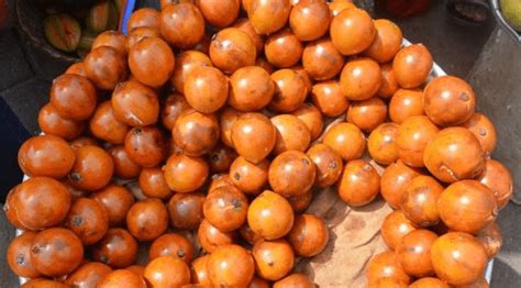 how to buy the best agbalumo plus it s health benefits healthfacts