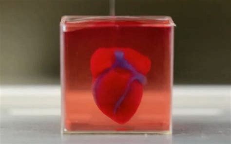Israeli Scientists Reveal Worlds First 3d Printed Heart With Human