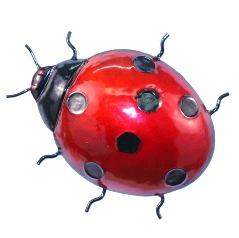 Watercolor ladybug insect beetle red bright ladybird. Red Ladybird | eBay