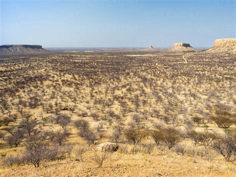 Africa Namibia Damaraland Scrubland Stock Photo