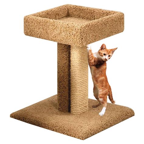 Cat Scratcher With Bed Sisal And Carpet Scratching Posts