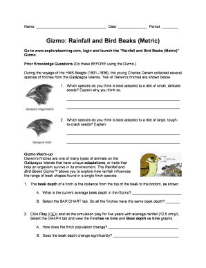 Gizmo comes with an answer key answers for explore learning gizmos. Rainfall And Bird Beaks Gizmo Answer Key - Free Photos