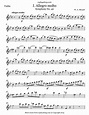 Symphony No. 40 (I. Allegro molto) – toplayalong.com