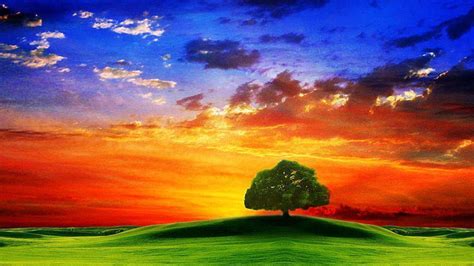 1920x1080px 1080p Free Download Green Hills And Tree Under Sunset