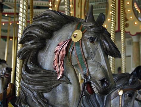 Grey Carousel Horse The Carosel Horse Pinterest Carousel Horses