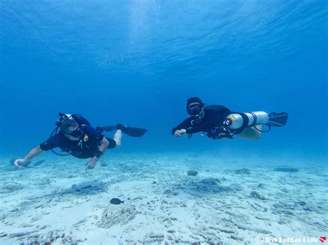 Joining The Bonaire Tek Diving Side Dive Buddies 4 Life